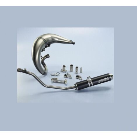 Pot d'échappement de détente Polini For Race pour moto Yamaha 50 (1/5)