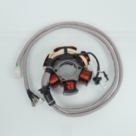 Stator d allumage RMS pour Scooter Gilera 50 Easy Moving 1995 à (1/2)