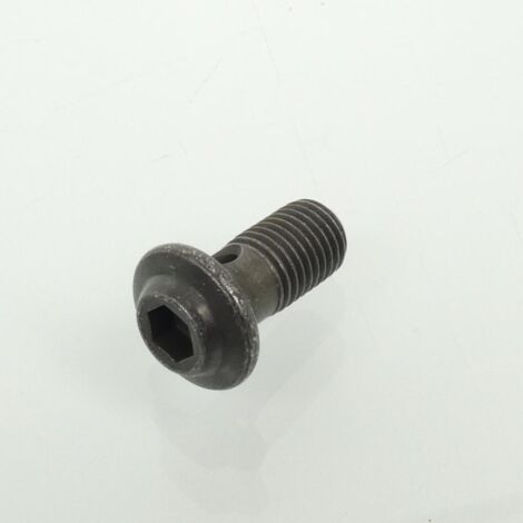 vis racoord banjo origine pour moto Yamaha 1300 FJR 2002 (1/4)