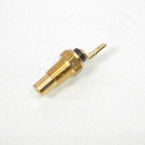 Sonde de température Thomson pour Auto Neuf (1/3)