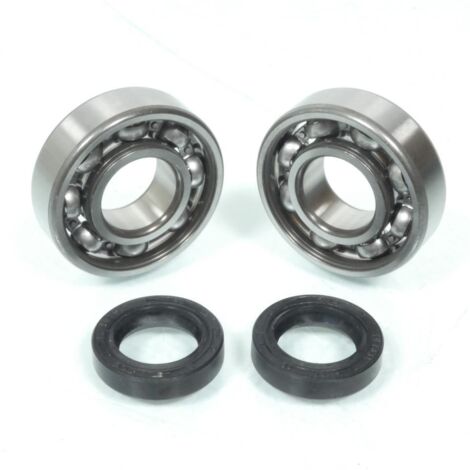 Roulement ou joint spi moteur RSM pour scooter Peugeot Ludix (1/2)