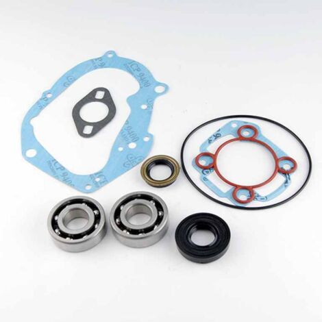 Roulement ou joint spi moteur Teknix pour Scooter Aprilia 50 SR (1/2)