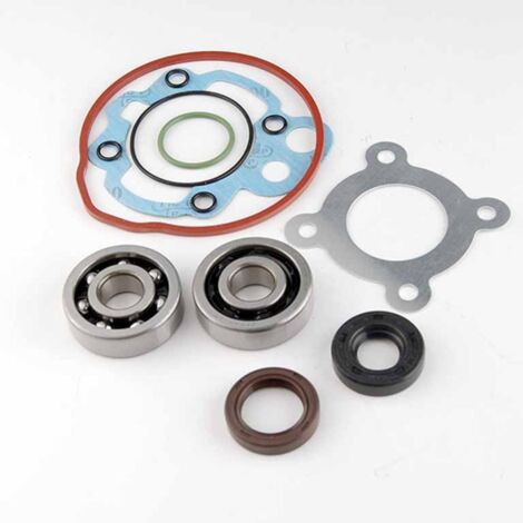 Roulement ou joint spi moteur Teknix pour Moto Minarelli 50 AM6