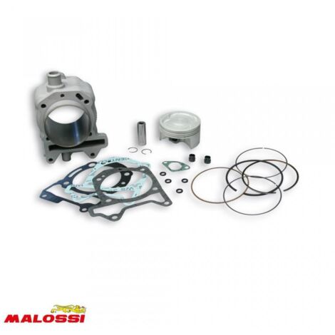 Cylindre Malossi pour Scooter Piaggio 125 X EVO 3113955 Neuf