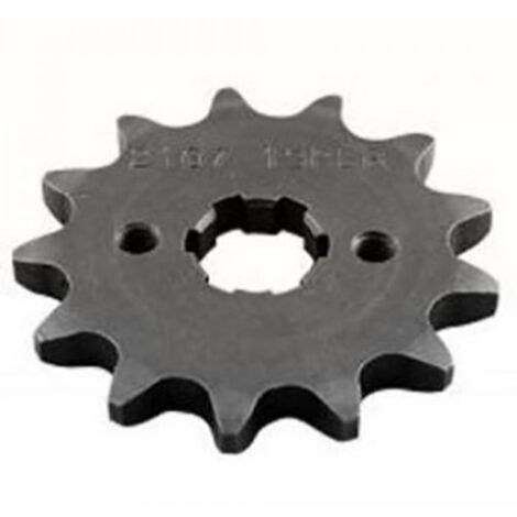 Pignon de sortie de boite Sifam pour Moto Derbi 50 Gpr R2 (1/4)