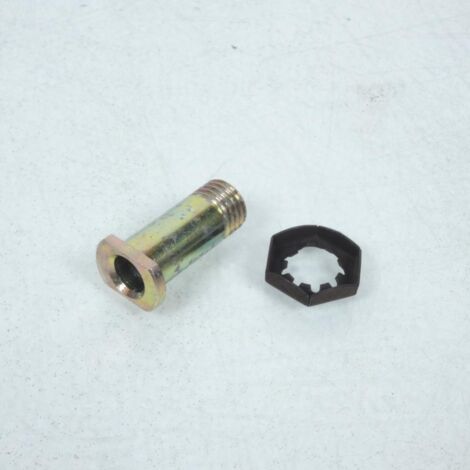 Visserie Brembo pour Deux Roues Moto Guzzi 110279850 / Axe levier (1/4)