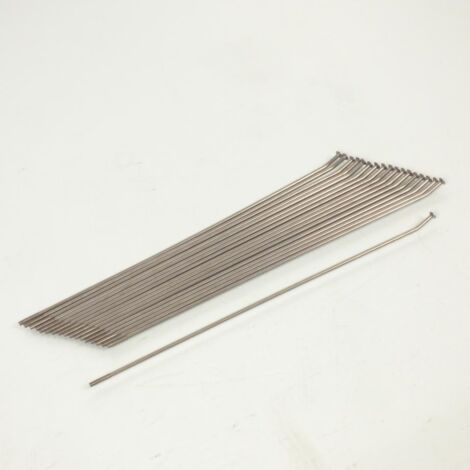 Rayon de jante origine pour Moto Aprilia 650 Pegaso 2001 à 2004 (1/5)