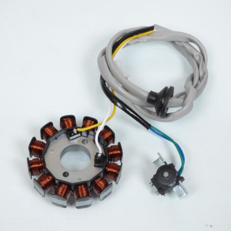 Stator d allumage P2R pour Scooter MBK 50 Nitro 2004 à 2020 Neuf (1/4)