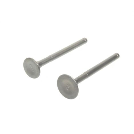 Kit Soupape admi echap pour scooter Peugeot 50 V-Clic 805047 (1/5)