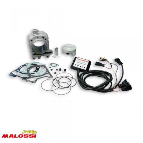 Cylindre Malossi pour Scooter Piaggio 125 Vespa Gts Super Ie