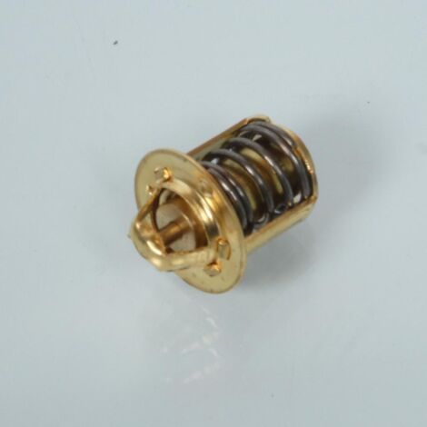 Thermostat P2R pour Moto Rieju 50 Spike Avant 2020 Neuf (1/3)