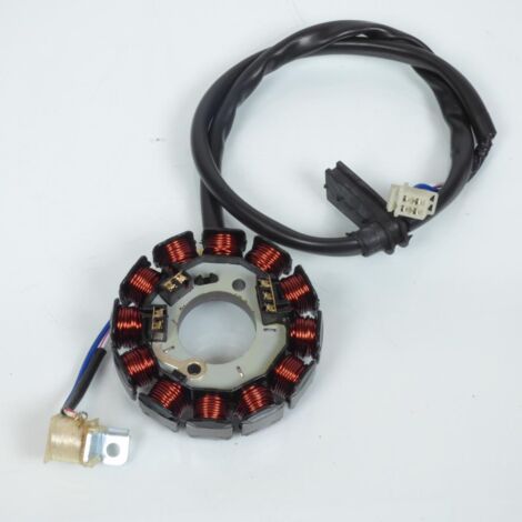 Stator d allumage TNT pour Moto Rieju 50 MRT Neuf (1/4)