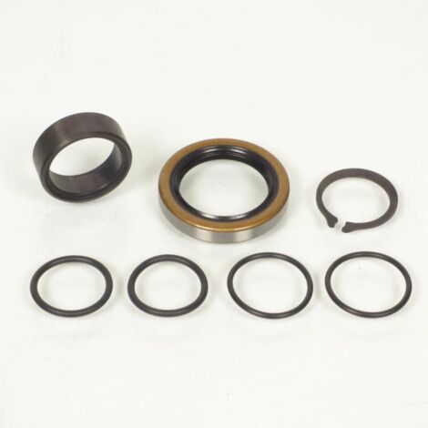 Kit réparation joint pignon sortie boîte All Balls pour Moto (1/5)