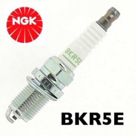 Bougie d'allumage NGK pour Quad Polaris 500 Magnum 2000 à 2002 (1/4)