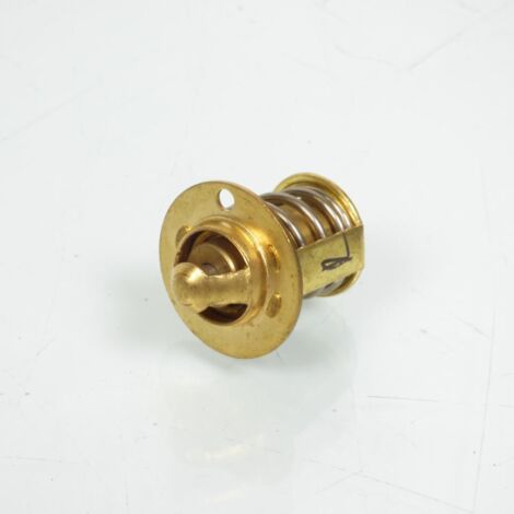 Thermostat origine pour Scooter MBK 50 Nitro 2002 à 2018 (1/5)