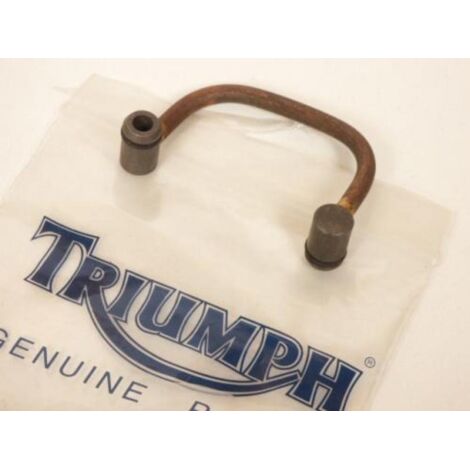 Pièce moteur diverse pour moto Triumph pour motocycle Neuf (1/2)
