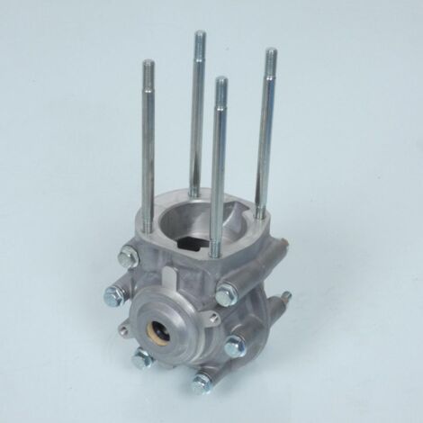 Carter moteur 2 transferts pour mobylette Peugeot 50 101 2T (1/5)