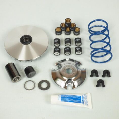 Variateur Polini pour Scooter Piaggio 150 Liberty Neuf (1/5)