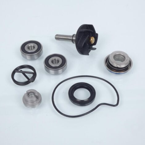 Pompe à eau Sifam pour Scooter Aprilia 125 Atlantic 2006 à 2012 (1/3)