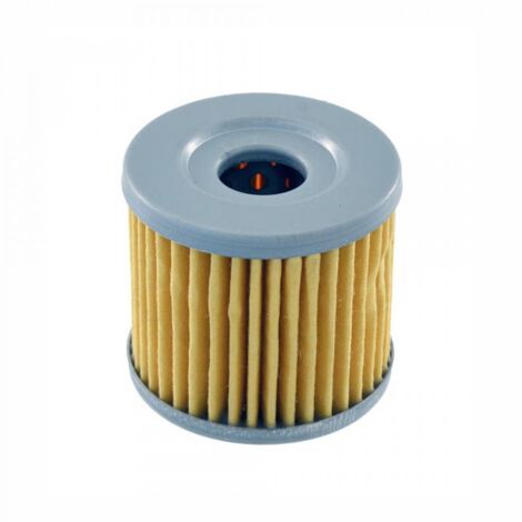 Filtre à huile Powerflux pour Moto Hyosung 250 Gt R Comet 2006 à (1/3)