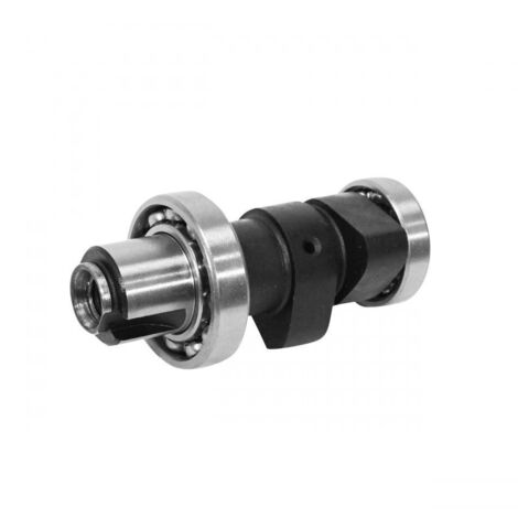 Arbre à cames SELECTION P2R (Motorisé) pour Scooter Peugeot 50 (1/5)