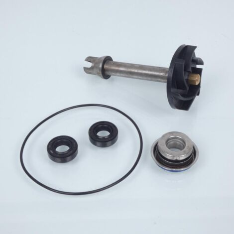 Pompe à eau Sifam pour Scooter Piaggio 400 Beverly Tourer 2008 à (1/2)