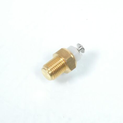 Sonde de température RMS pour Scooter Malaguti F12 R.O.02101300 (1/2)