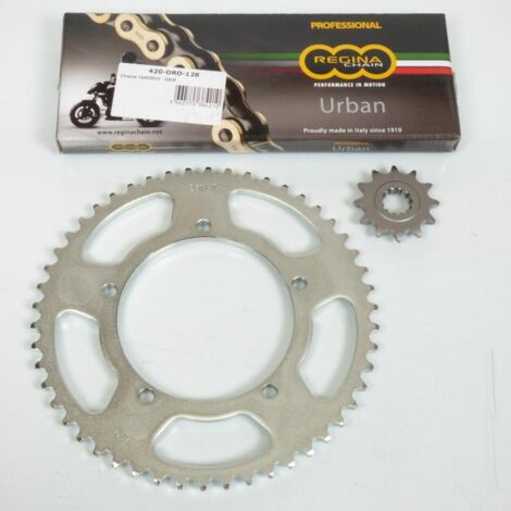 Kit chaîne Regina pour Moto Yamaha 50 Dt X Sm (5T) 2002 Neuf (1/2)