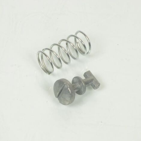 Vis pivot de carénage moteur avec ressort pour mobylette Piaggio (1/3)