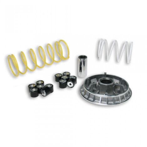 Variateur Malossi Multivar pour scooter Honda 150 Pantheon 2T (1/4)