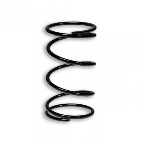 Ressort d embrayage Malossi pour Scooter Aprilia 50 Scarabeo 4T (1/2)