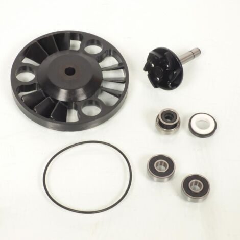 Pompe à eau P2R pour Scooter Piaggio 125 X9 Evolution 2003 à 2020 (1/5)