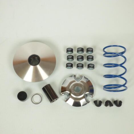 Variateur Polini pour Scooter Piaggio 300 MP3 2017 à 2020 241.665 (1/5)