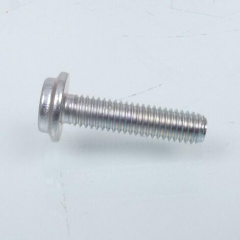 Vis RESISTORX inviolable M6 Pas 1.00 L 25mm origine pour deux