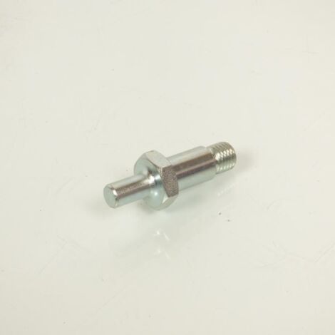 Visserie origine pour Moto Rieju 50 MRT 0/000.460.8000 / axe (1/5)