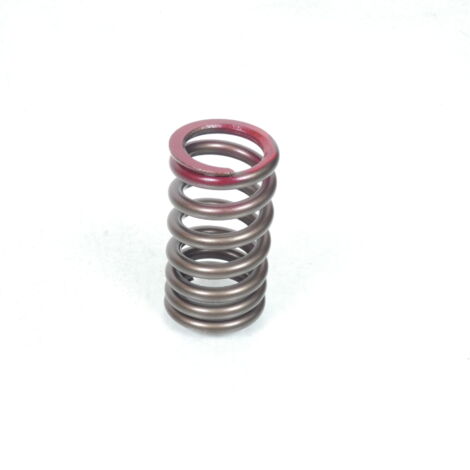 Ressort de soupape pour quad Suzuki 250 LTZ 2004 à 2010 (1/2)