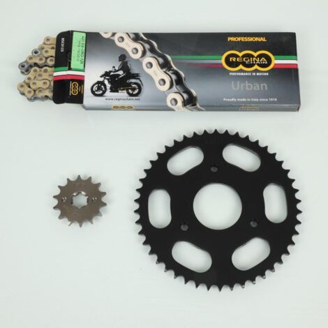 Kit chaîne Regina pour moto Rieju 125 RS2 Matrix 2006 à 2011 (1/2)