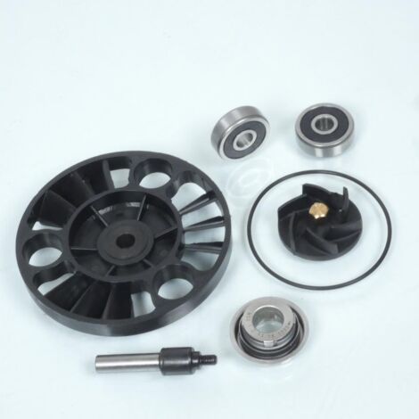 Pompe à eau Top performances pour Scooter Aprilia 125 Atlantic (1/5)