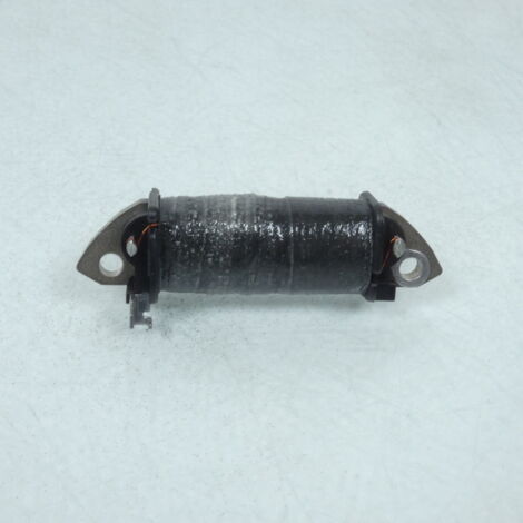 Bobine primaire de stator d'allumage pour moto Suzuki SMX 50 (1/5)