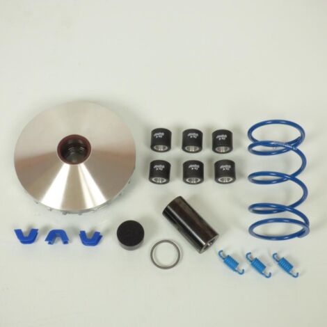 Variateur Polini pour Scooter Sym 300 CRUISYM Avant 2020 241.742 (1/5)