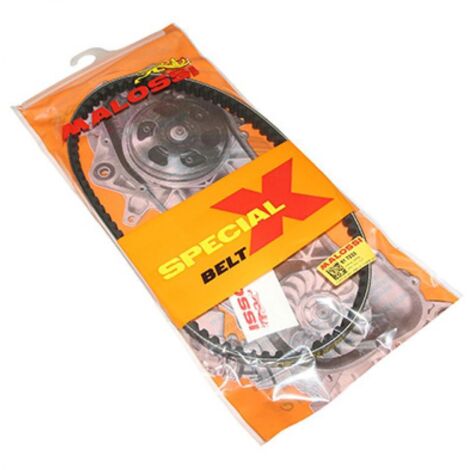 Courroie de transmission Malossi pour Mobylette MBK 50 51 61 7233 (1/3)
