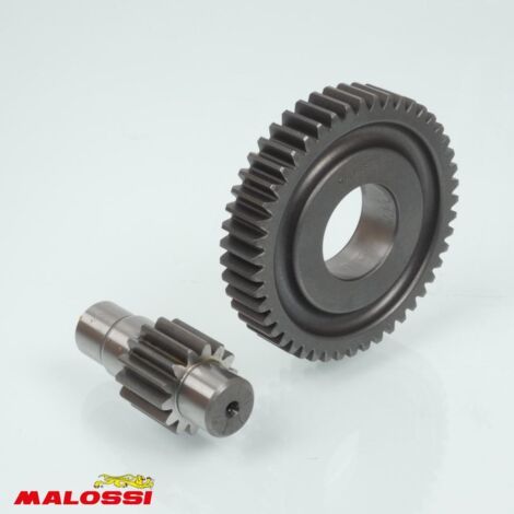 Pont arrière de transmission Malossi pour Scooter Piaggio 50 (1/2)