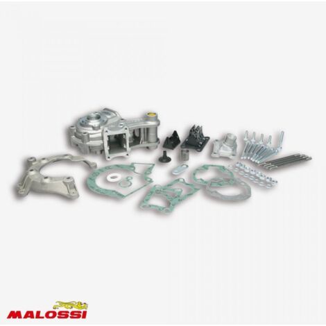 Carter moteur Malossi pour Mobylette Peugeot 50 103 SPX 57 6548