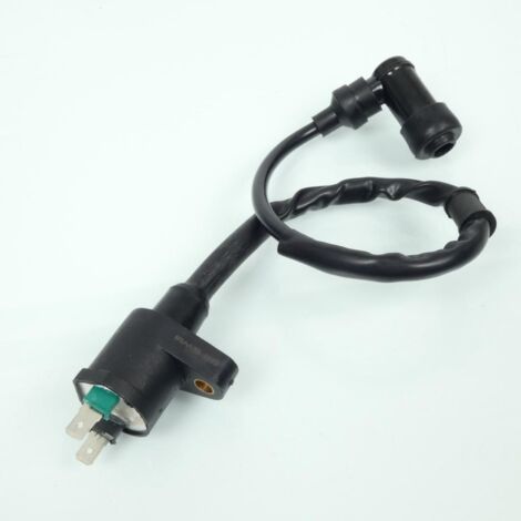 Bobine d'allumage HT RMS pour Scooter Piaggio 125 Vespa GTS 2007 (1/4)