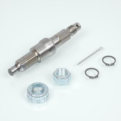 Pont arrière de transmission RMS pour scooter Piaggio 50 Liberty (1/3)