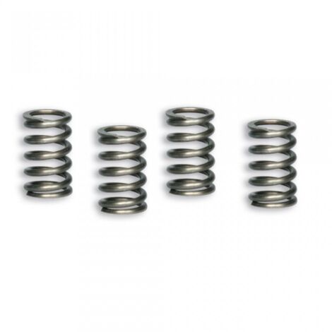 Ressort d embrayage Malossi pour moto Honda 100 NSF 2913126 Neuf (1/2)
