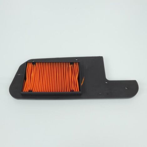 Filtre à air Athena pour scooter Piaggio 250 X9 2000 à 2001 (1/2)