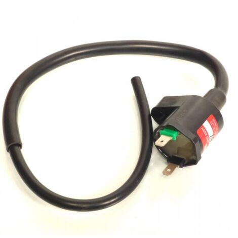 Bobine d'allumage HT P2R pour Scooter Keeway 50 Matrix 2006 à (1/2)