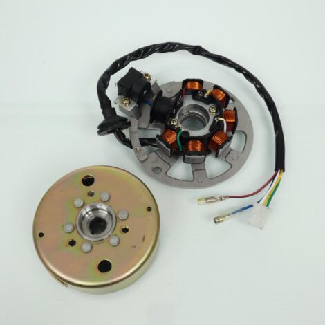 Stator rotor d allumage Teknix pour Scooter CPI 50 GTS AC Neuf (1/5)