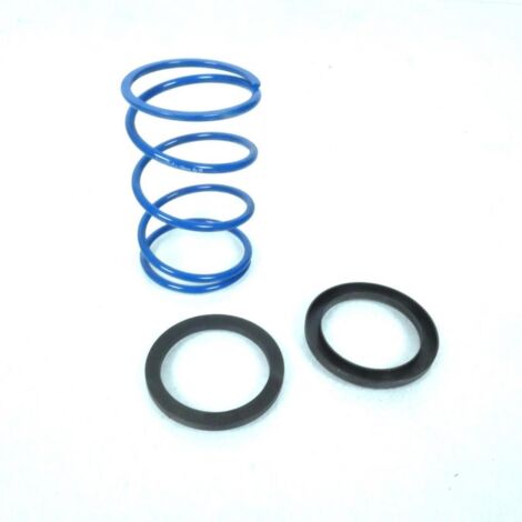 Ressort d'embrayage Polini pour scooter Piaggio 50 ZIP 243.092 / (1/4)